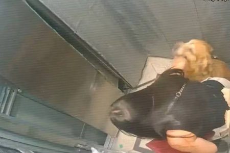 Vídeo: elevador despenca parcialmente com mulher e cachorro em prédio de Salvador