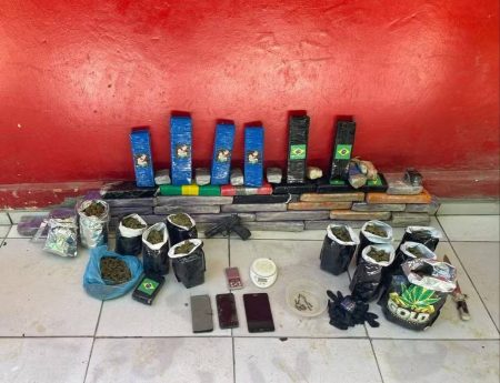Polícia desarticula esquema de cultivo de maconha ‘indoor’ no sul da Bahia