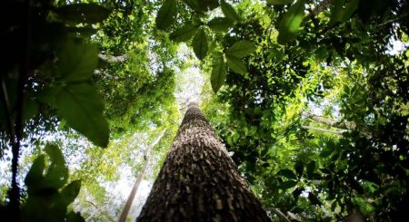COP29 fecha acordo climático, mas Guterres critica falta de ambição