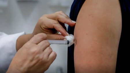 Especialistas alertam para aumento da dengue no verão e pedem ampliação da vacinação