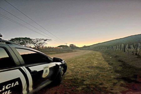 Fuga frustrada: homem é preso em Anguera após correr para o mato; entenda