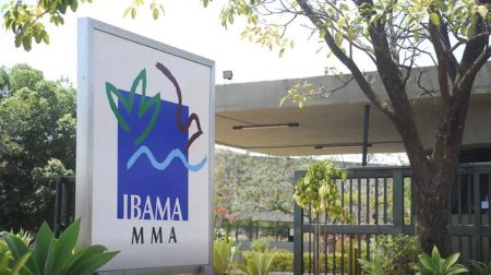Ibama abre concurso com 460 vagas e salários de quase R$ 10 mil