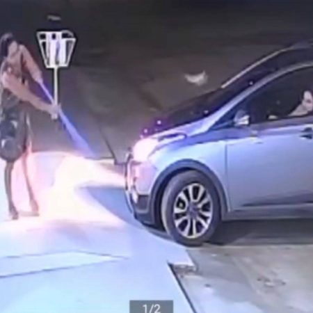 VÍDEO: Sapo vira “motorista” e causa pânico em Petrolina; vídeo viraliza nas redes sociais