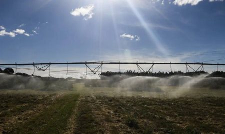 Conab estima safra recorde de 330,3 milhões de toneladas de grãos para 2024/25