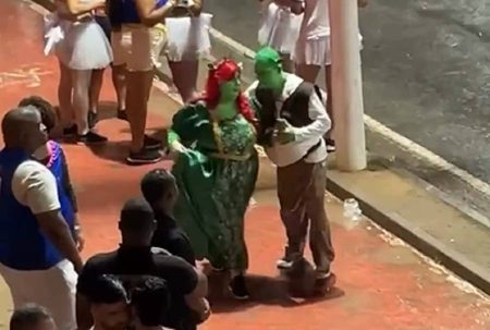 Casal vestido de Shrek e Fiona rouba a cena no carnaval de Salvador