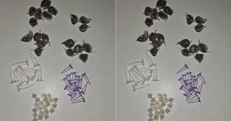 Mulher é presa com sacola de drogas durante operação policial no bairro de São Marcos