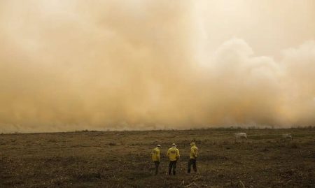 Chuvas abaixo da média no verão deixam solo seco e impactam agricultura, alerta Inmet