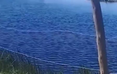 Dois homens morrem eletrocutados após encostarem em cerca ligada ilegalmente à rede elétrica