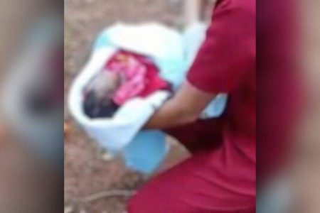 VÍDEO: Recém-nascido abandonado e atacado por cães é resgatado em Minas; avó é presa