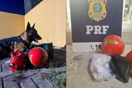 K9 Messi, cão farejador da PRF, detecta entorpecentes escondidos em bolas em Vitória da Conquista