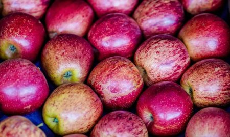 Exportações de frutas crescem 26% no 1º trimestre e impulsionam faturamento do setor