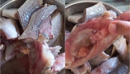 VÍDEO: Distribuição de peixe com rabo em kits da Semana Santa gera revolta em Catu; entenda