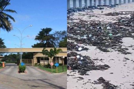Moradores de Busca Vida realizam mutirão para limpeza das praias após chuvas intensas
