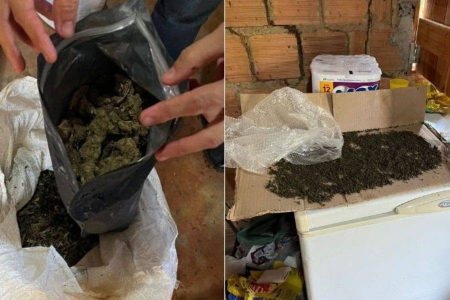 Polícia apreende mais de meia tonelada de maconha no extremo sul da Bahia