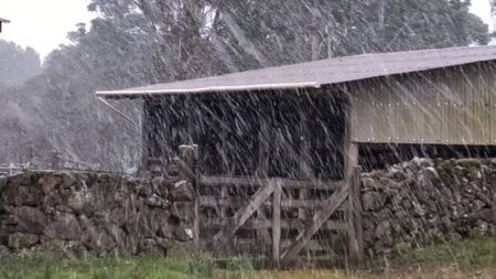Primeira neve do ano é registrada no Sul do Brasil nesta quinta-feira (29)
