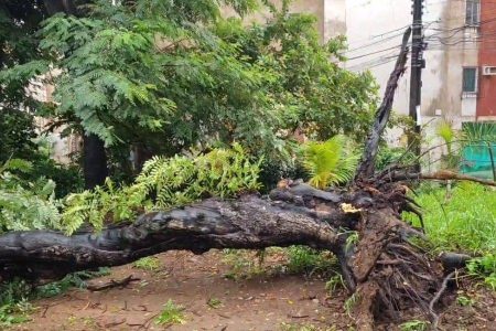 Em seis dias, chuvas em Salvador superam o esperado para todo o mês de maio