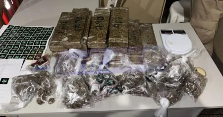 Polícia Militar apreende 20 kg de maconha em Sussuarana Velha