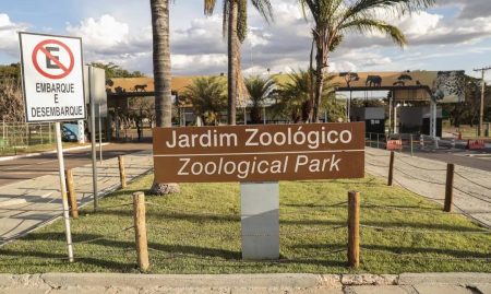 Zoológico de Brasília é fechado após suspeita de gripe aviária