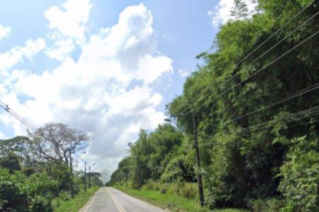 Manifestação interdita a Estrada do Derba em Salvador
