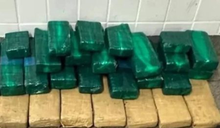 Polícia Militar apreende 50 kg de maconha em Feira de Santana