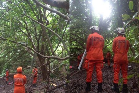 Homem é encontrado em árvore após dois meses desaparecido
