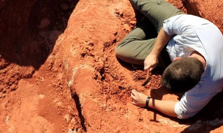 Cientistas encontram no Brasil fóssil que pode ser de um dos dinossauros mais antigos do mundo