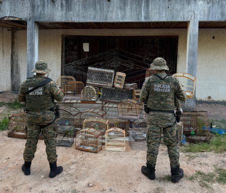 PM resgata aves silvestres e prende suspeitos em bairros de Salvador