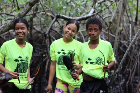 Projeto aproxima crianças de Itaparica da proteção dos manguezais