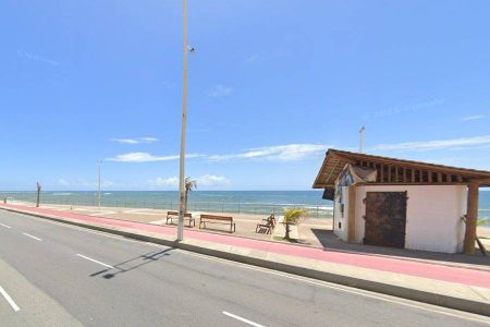 Golfinho é resgatado em de Salvador