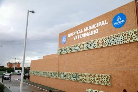 Hospital veterinário promove mutirão para castração em Salvador