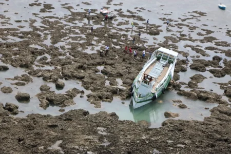 Oito anos da tragédia da Cavalo Marinho I: dor, impunidade e lições não aprendidas