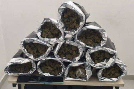 PM apreende carga de droga avaliada em R$ 60 mil