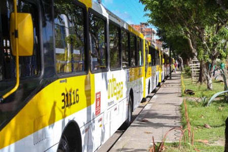 Linha de ônibus em Salvador ganha seis novas viagens em dias úteis
