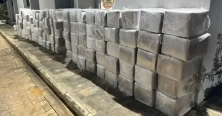 MPBA desmantela organização criminosa por tráfico de drogas
