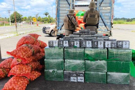 Polícia apreende mais de 500 kg de cocaína escondidos em carga de cebolas