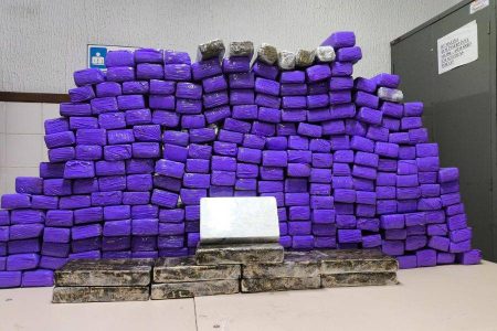 Polícia apreende 267 kg de drogas em van na Bahia