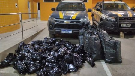 PRF apreende 109 kg de maconha na BR-324, em Simões Filho