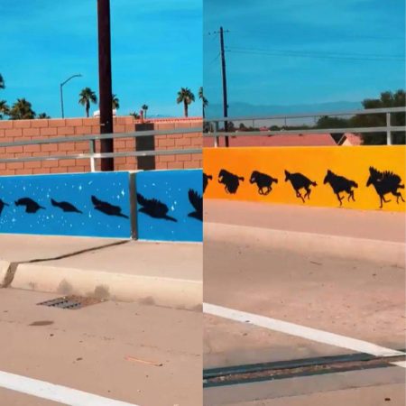 VÍDEO: Ponte na Califórnia cria ilusão de movimento nas muretas e chama atenção de quem passa