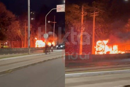 Vídeo: Bandidos incendeiam ônibus em frente ao Parque da Cidade