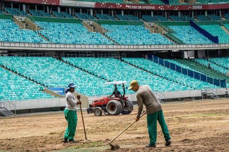 Gramado da Arena Fonte Nova é totalmente trocado