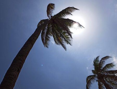Nova onda de calor atinge o Brasil e provoca mudanças no tempo na Bahia