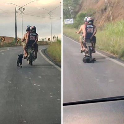 Vídeo flagra cachorro sendo arrastado por motocicleta no interior da Bahia