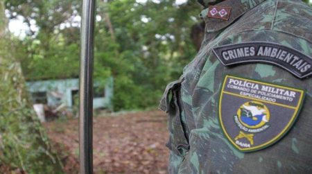 Mulher é presa suspeita de matar cão em Itinga, Lauro de Freitas