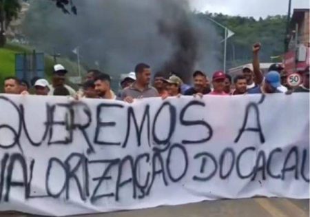 Produtores de cacau protestam contra importação do produto na BR-101, no sul da Bahia