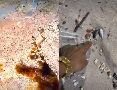 Manchas azul e amarela e peixes mortos em praia de Salvador preocupam moradores