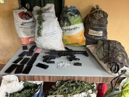 Operação apreende 3 toneladas de maconha e destrói 200 mil pés no interior da Bahia