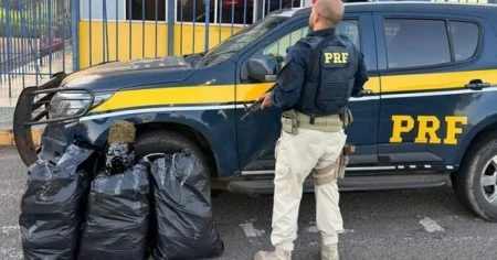 Motorista foge de fiscalização da PRF, cai em ribanceira e abandona 30 kg de maconha na BR-101