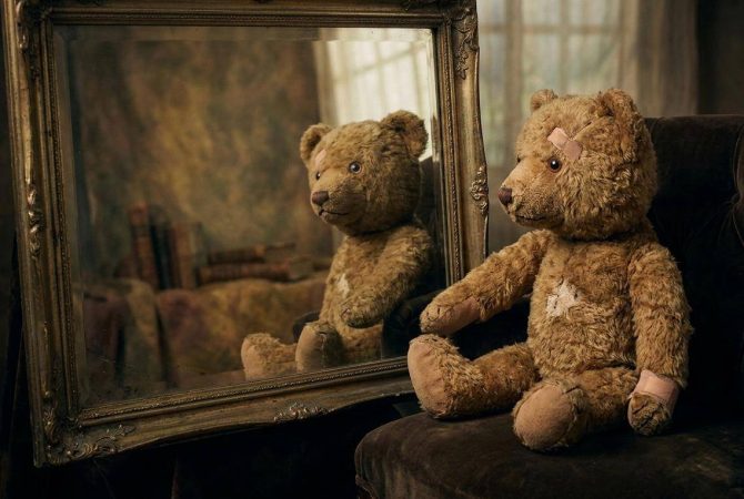 urso machucado se olhando no espelho