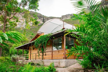 Justiça autoriza cultivo de cannabis medicinal na Chapada Diamanti