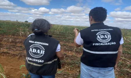 Bahia reabre concurso da ADAB com 200 vagas; confira